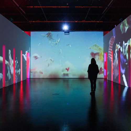 Rachel-Rossin_Stalking-the-Trace