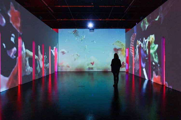 Rachel-Rossin_Stalking-the-Trace