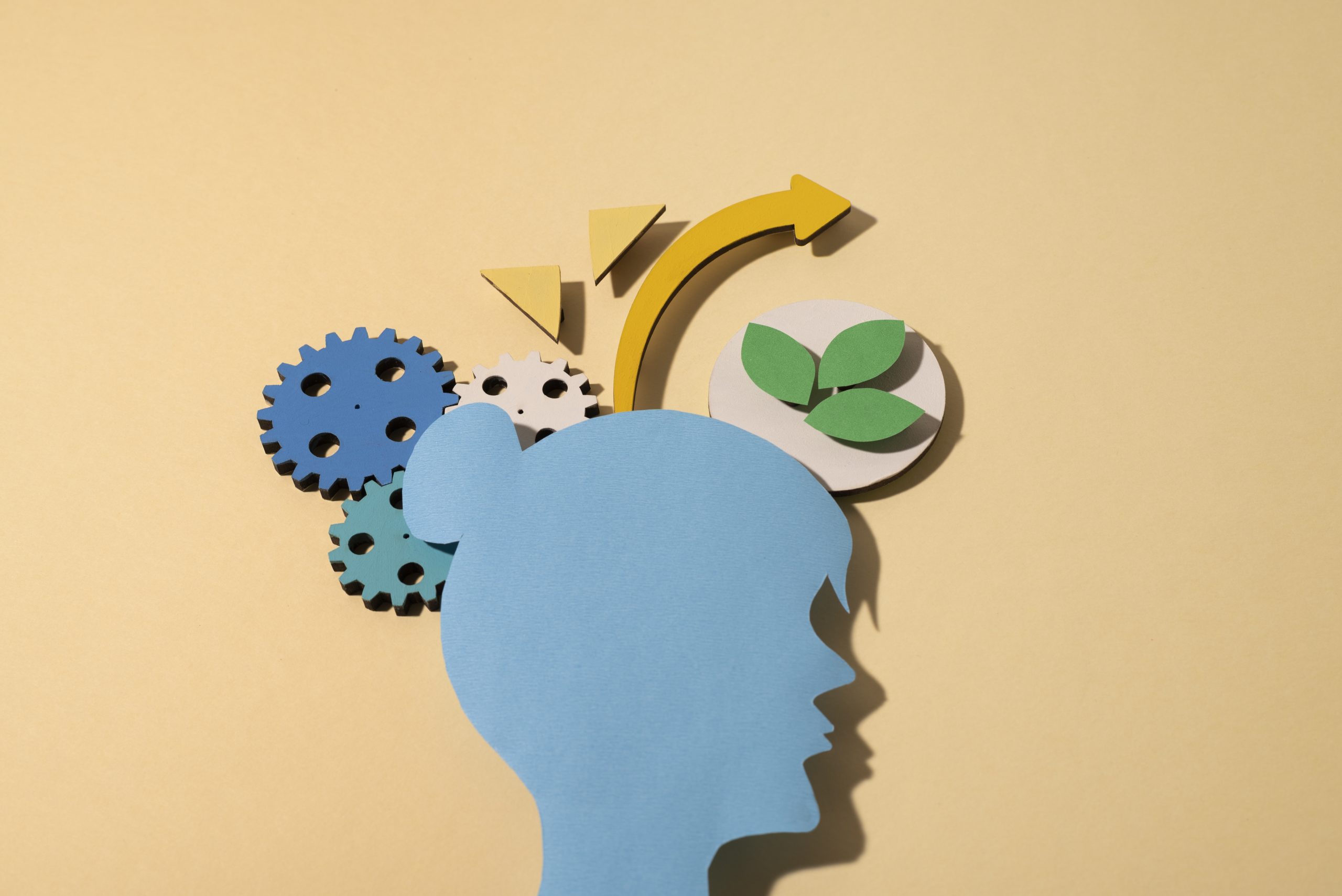 روانشناسی رنگ در طراحی غرفه نمایشگاهی رایمون